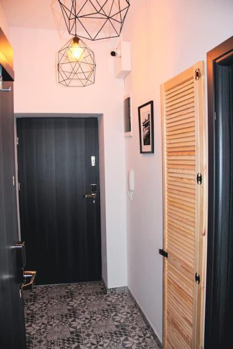 *Apartamenty Kattowitz 12 エクステリア 写真
